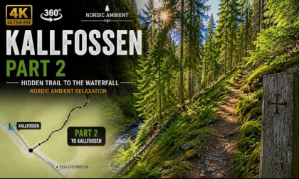 KallFossen Part 2 | The Forgotten Forest Trail Begins | 8K 360° VR Norway