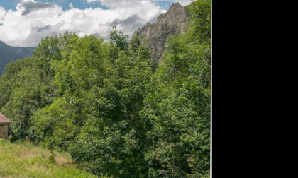 Valle del Lago Somiedo Asturias.p1