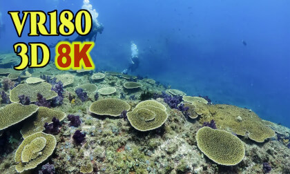 Underwater 3D VR180 ; Stereoscopic Virtual Diving in Izu-oshima-island , Tokyo , Japan Underwater 3D VR180 ; Stereoscopic Virtual Diving in Izu-oshima-island , Tokyo , Japan