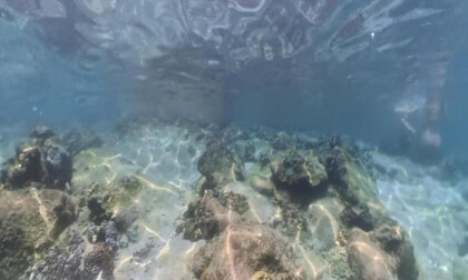 360 Snorkelling in the Shallows of Koh Tao Island, Thailand