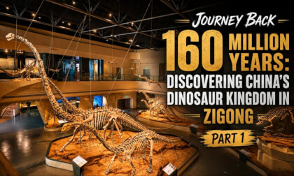 Journey Back 160 Million Years: Discovering China’s Dinosaur Kingdom in Zigong | Part 1（穿越1.6亿年：探索中国自贡恐龙王国｜第一集）