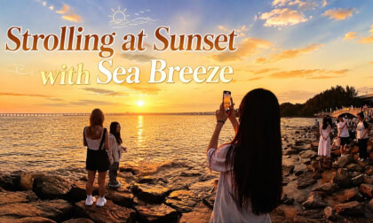 The Ultimate Seaside Walk: Xiwan Mangrove Park, Shenzhen