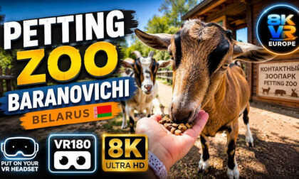 Baranovichi Petting Zoo | Feed Friendly Animals | 8K VR180 Experience