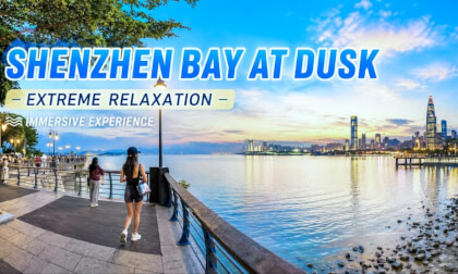 Shenzhen Bay at Dusk: Ultimate Relaxation, Immersive Experience