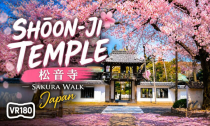 2 Minutes of Peace at Shōon-ji Temple, Japan VR180