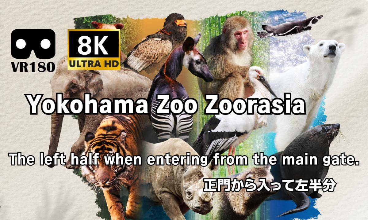 横浜動物園ズーラシア:Yokohama Zoo Zoorasia 正門から入場