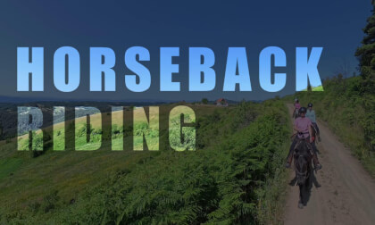 Horsebackriding through Serbia Sumadija Adventure