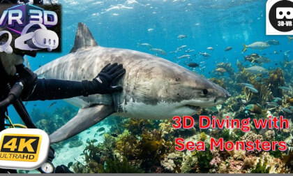 3D Underwater in Socorro Islands Sean Rugg Enjoy 🐳🦈🌊