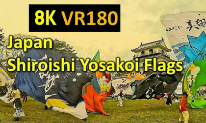 Japan Shiroishi Yosakoi Flags