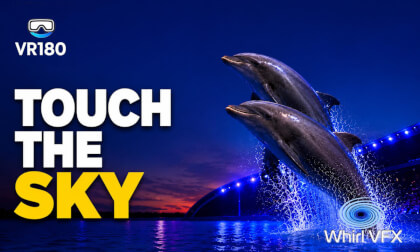 Dolphins: Touch the Sky | SeaWorld Orlando Electric Ocean 2026 | 3D 8K VR180
