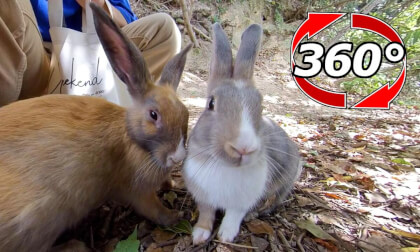 [360 Video] Totally different colors! But both are cute.