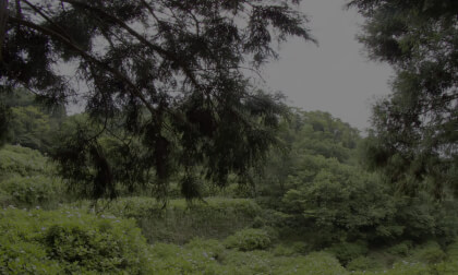 Hidden in Huaxi Valley of Changtian Stream on Fuzhou’s Guling 绣球花海