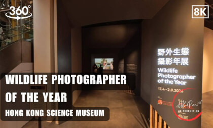 📸 Wildlife Photographer of the Year - Hong Kong Science Museum Exhibitions 2026 | 8K 360VR
