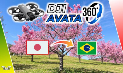 Cherry Blossom Festival in 360 8K VR | Aerial Flight Over Pink Canopy (DJI Avata 360)