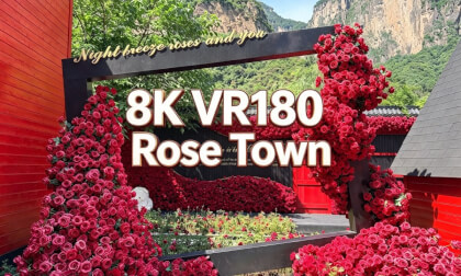 ROSE TOWN
