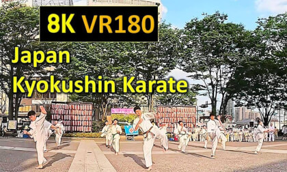 Japan Kyokushin Karate