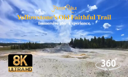 8K 360° of Yellowstone National Park's Old Faithful Trail