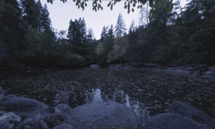 Lithia Park duck pond VR Video Lithia Park duck pond VR
