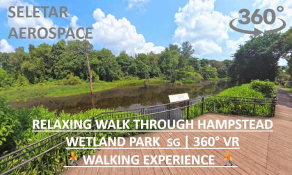 Hampstead Wetland Park 🇸🇬 | Peaceful Nature Walk | 360° VR Experience (5.7K 60fps)