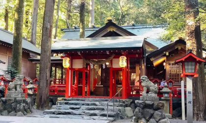 Spatial Archive #003: Tsubaki Grand Shrine, Mie 🇯🇵 | 2,000 Years of Sacred Forest in 360° VR