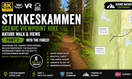 Stikkeskammen Trail Part 2 | Into the Forest | 8K 360° VR Norway