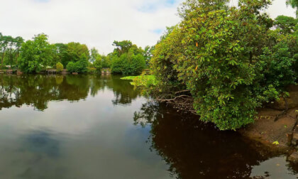 Roodee Mere Lake Royden Park