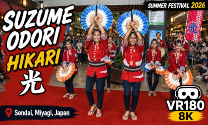 Hikari Suzume Odori | Suzume Dance | Sparrow Dance VR180