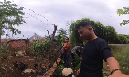 BAT GA VID_20260726