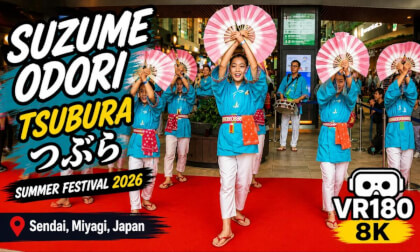 Tsubura Suzume Odori | Suzume Dance | Sparrow Dance Japan  VR180