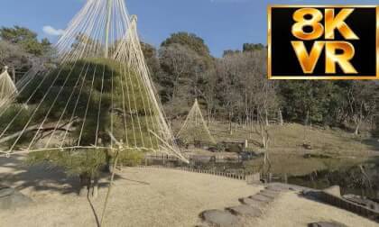Japanese Style Garden