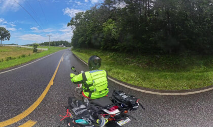 CowMute  Blairsville To The Ridges Resort