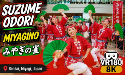 Miyagino Suzume Fan Dance | Sendai Summer Festival 2026 | VR180