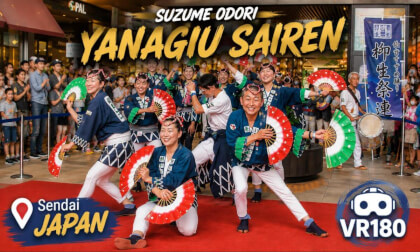 Yanagiu Sairen Suzume Odori  | Sparrow Dance Japan VR180