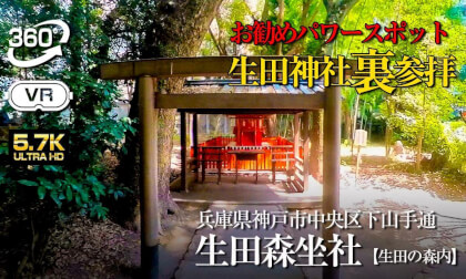 【360°VR】⚠️ 生田神社  裏参拝【兵庫県神戸市】生田神社のお勧めパワースポット！