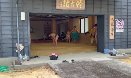 シネマティックお相撲さん
