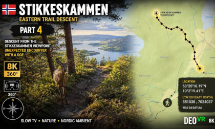Stikkeskammen Trail — Part 4 | Eastern Descent & Unexpected Encounter with a Doe | 8K 360° VR Norway