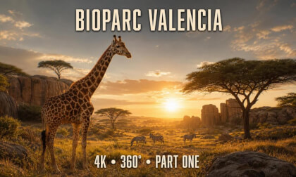 Bioparc Valencia in 4K 360° — The Journey Begins | Part 1 of 6