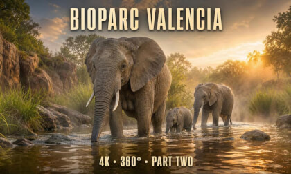 Inside Bioparc Valencia — Immersive 4K 360° Tour | Part 2 of 6