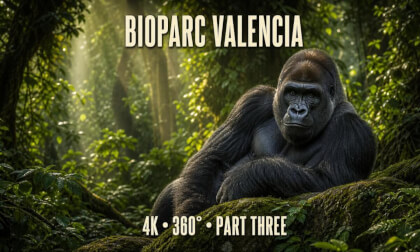 Amazing Bioparc Valencia in 4K 360° — Feel Like You’re There | Part 3 of 6