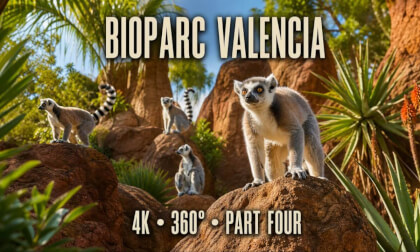 Title:Bioparc Valencia Without Borders — Full 4K 360° Experience | Part 4 of 6