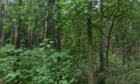 VID_20260801_123135_00_009