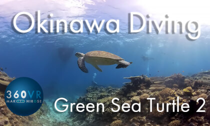 Okinawa Diving -Travel JAPAN-  [ Green Sea Turtle 2 ]