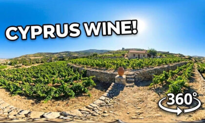 Wine Tasting in Cyprus: A 360° Immersive Journey