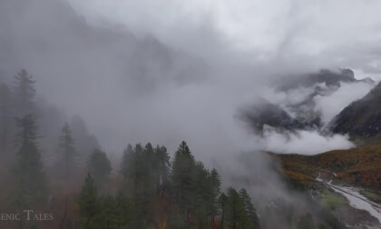 Earth’s Sanctuary – Pristine Nature for Inner Peace 🍃🧬