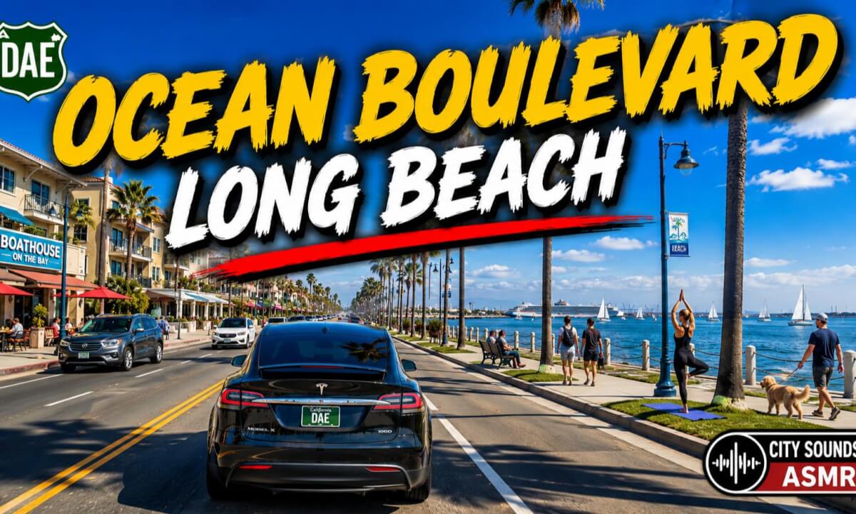 Long Beach Ocean Blvd — Just Drive & Listen | 360° ASMR
