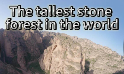 The tallest stone forest in the world