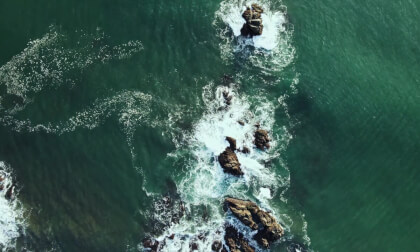 Wilderness Echoes – Soothing Birdsong and Gentle Streams 🐦🌊