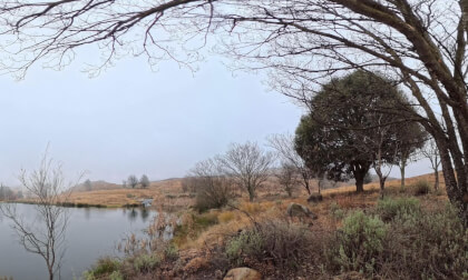 Dullstroom/Millstream test VR180 footage