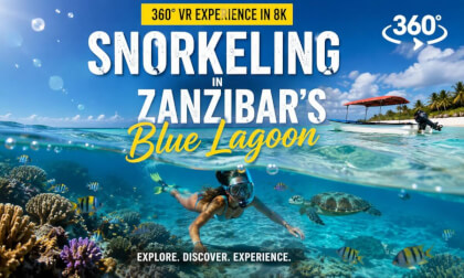 Zanzibar Blue Lagoon Snorkeling Adventure