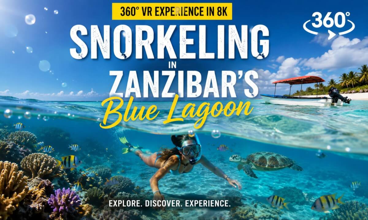 Zanzibar Blue Lagoon Snorkeling Adventure